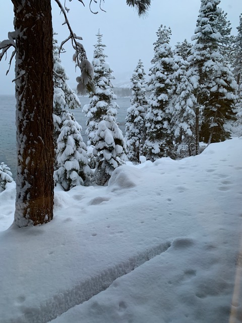 Zephry Point in Snow